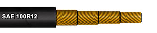 SAE 100R12/EN 856R12